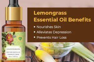 Divyam Enterprises - Vaadi Herbals Mumbai