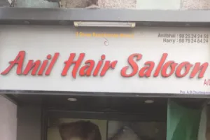 Anil Hair Art