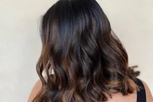 Loyal The Salon