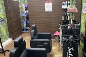 The Dream Ladies Salon —Morbi