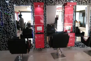 Saelac Unisex Salon &amp; Spa L'ORÉAL PROFESSIONALS
