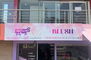 Blush Professional Beauty Studio