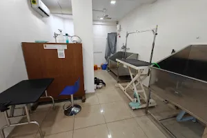 My Pet Hospital &amp; Grooming kannur