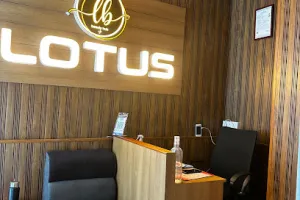Lotus Beauty Hub