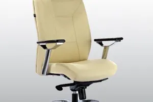 Dhanlaxmi Furniture - Plastic Chair Showroom - Revolving chairs In Vadodara