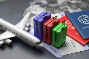 Welkin Migration Consultants