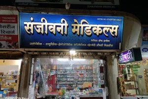 Sanjivani Medicals