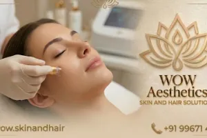 Dr Ziau Shaikh’s Wow Aesthetic &amp; Wellness