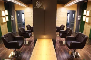 The colorist salon