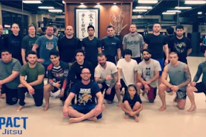 Impact Jiu Jitsu