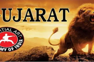 Martial Art Academy Of India