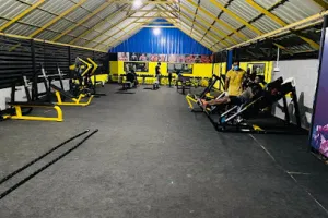 Body Gold Multi Gym