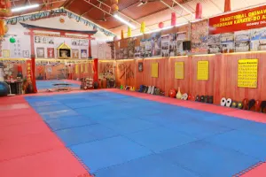 Okinawan Karate Do &amp; Sports Centre