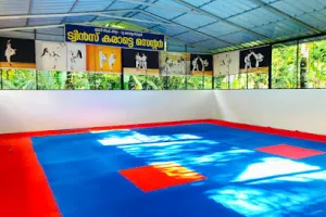 Twins karate centre