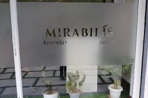 Mirabilis Ayurveda Clinic and Skill Academy