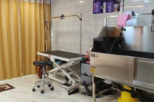 The pet parlour