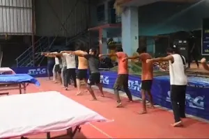 Notorious MMA and fitness academy