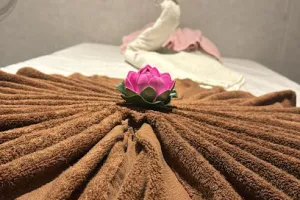 Castle spa and Salon